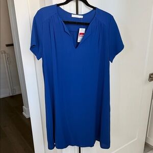 Lush Royal Blue Dress